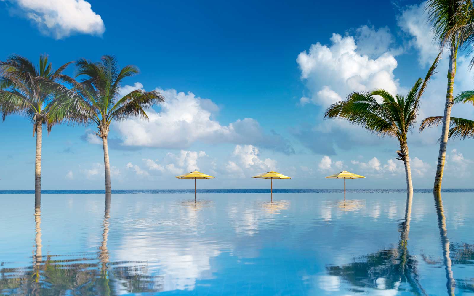 infinity pool overlooking the ocean in jamaica