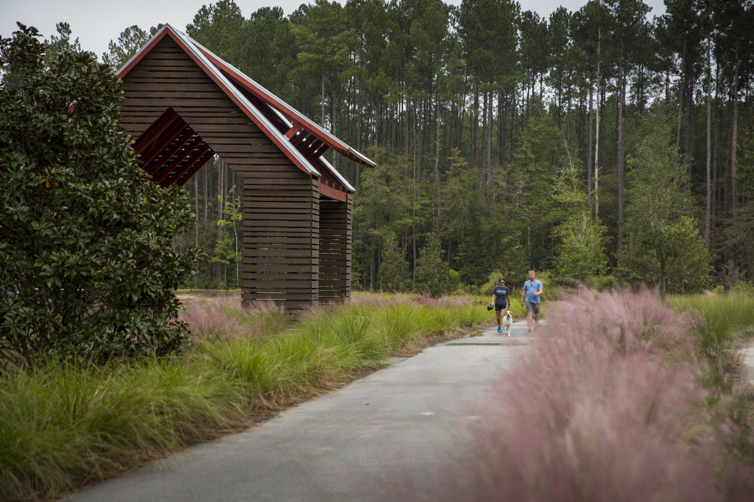walking trail on a flat topography with a large wood sided pergola, dusty pink plantings and tall trees reminiscent of the low country flank all sides of a paved pathway with two people walking on it