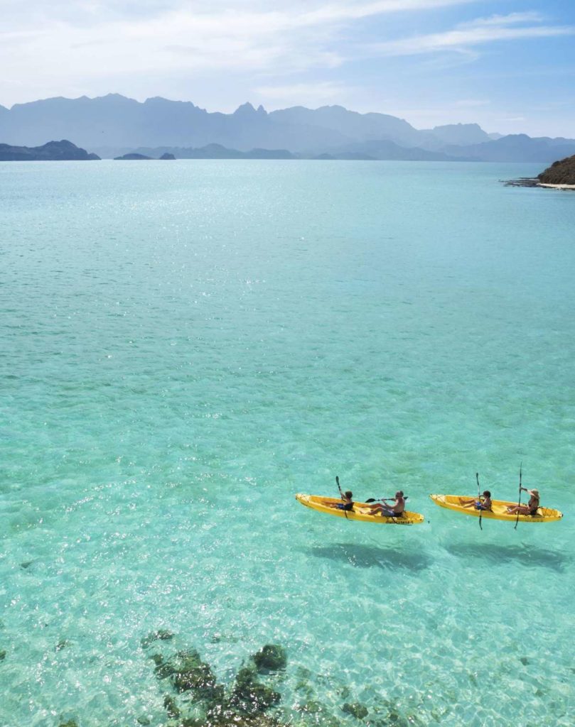 couples kayaking in clear blue water on the sea of cortez