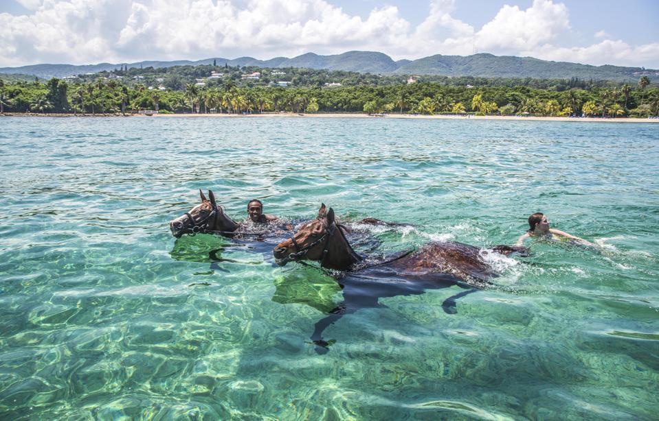 two people swim with horses in the clear, blue Caribbean sea