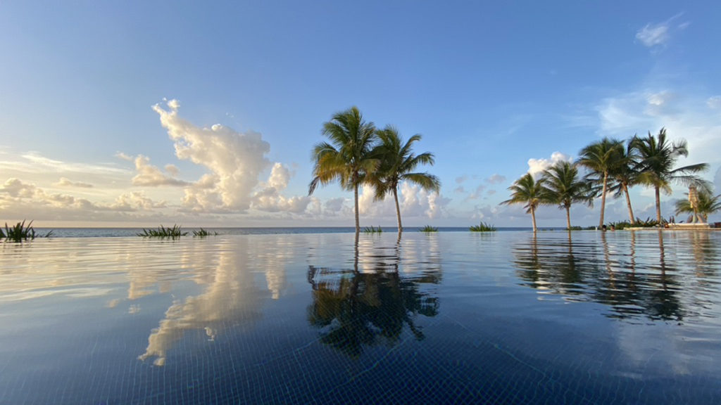 infinity edge pool looking over the ocean with palm trees and reclining chairs in the surround